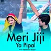 About Meri Jiji Ya Pipal Song